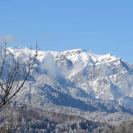 Sinaia Alpineview Residence Ngoại thất bức ảnh