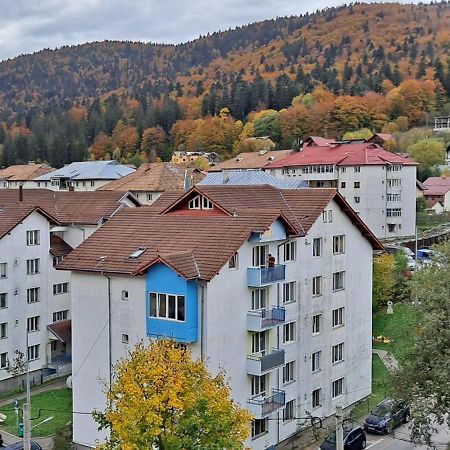 Sinaia Alpineview Residence Ngoại thất bức ảnh