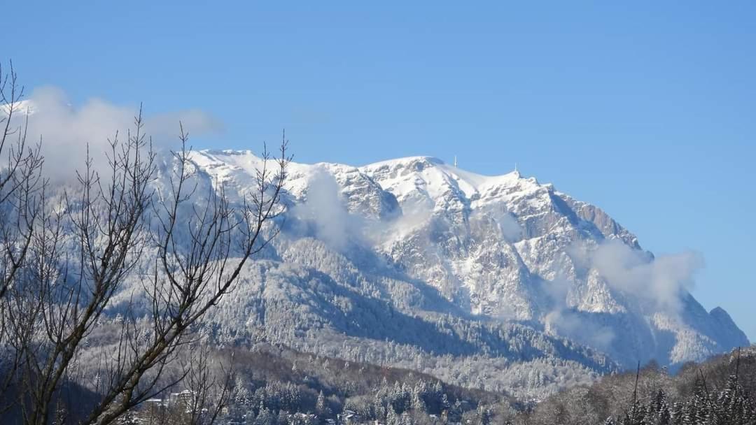 Sinaia Alpineview Residence Ngoại thất bức ảnh