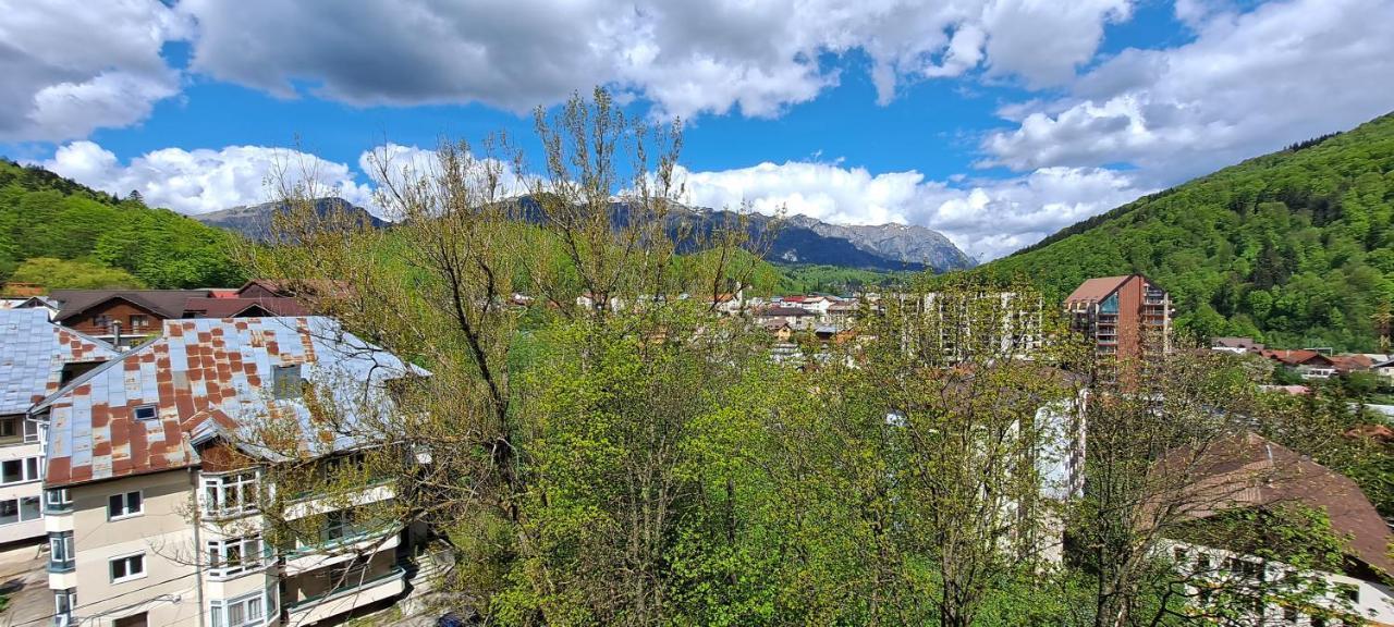 Sinaia Alpineview Residence Ngoại thất bức ảnh
